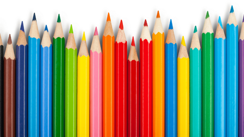 Coloured pencils in a row, representing differentiation