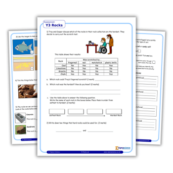 Year 3 science worksheets