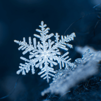 A snowflake, representing a snow activity