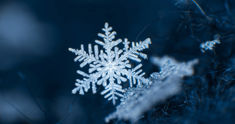 A snowflake, representing a snow activity