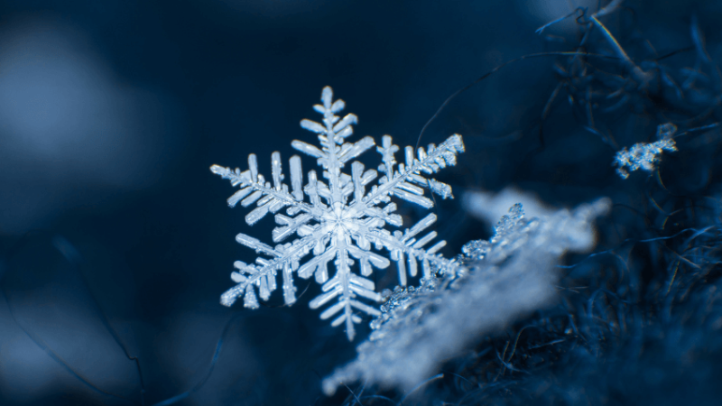 A snowflake, representing a snow activity