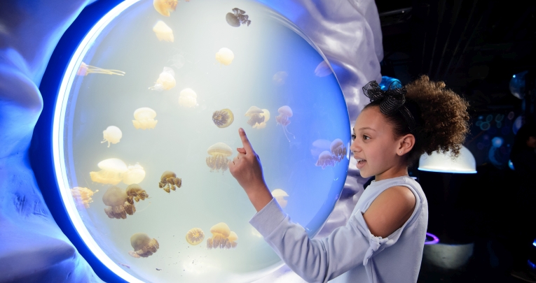 school trips to london aquarium