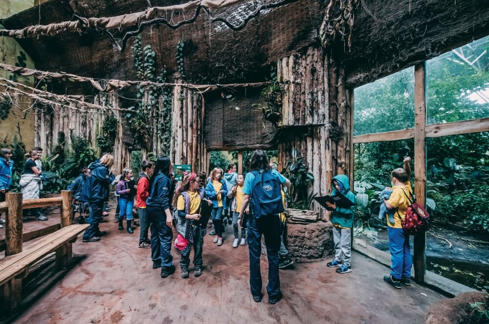 Chester Zoo