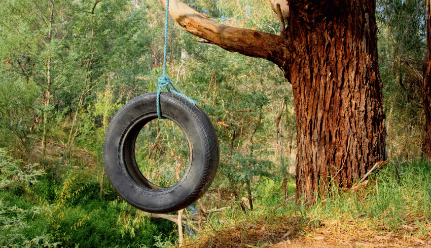 Forest school tire swing