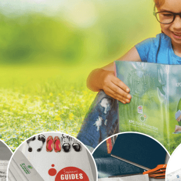 A child sitting in a field reading a book