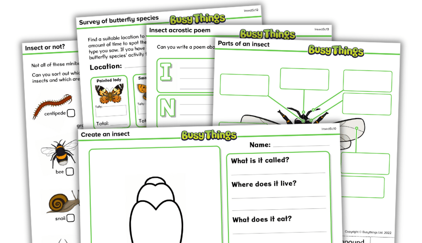 Insect activity pack