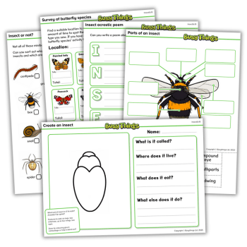 Insect Week resource pack
