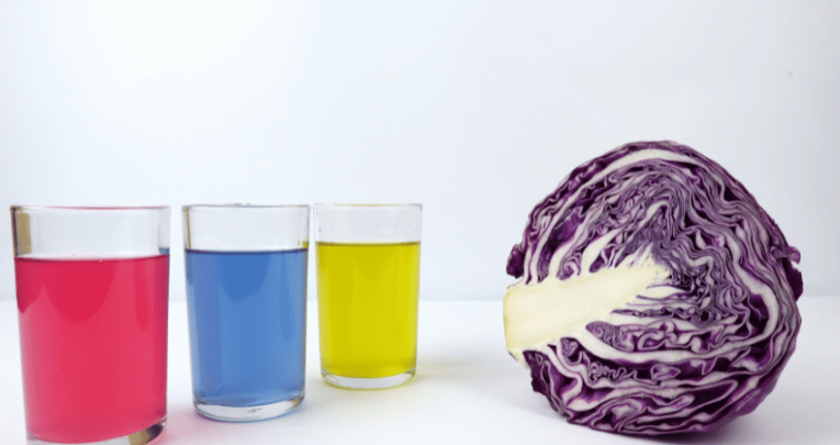 Red cabbage and coloured liquids, representing acid and alkali reaction experiment