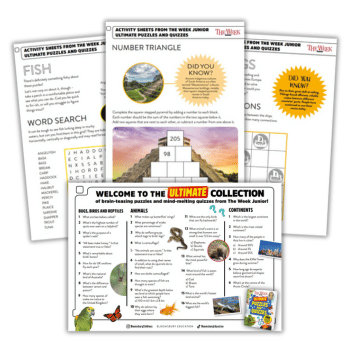KS2 quiz pack