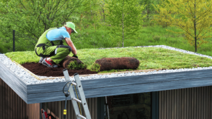 Green roof on a sustainable building