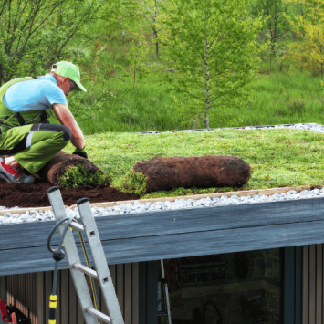 Green roof on a sustainable building