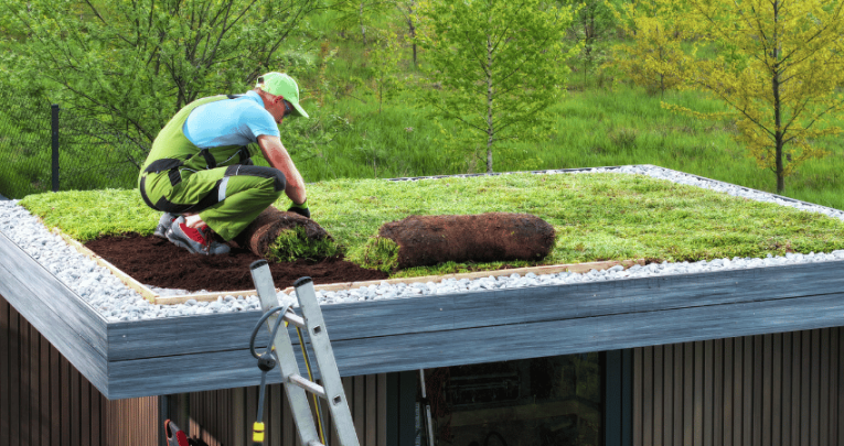 Green roof on a sustainable building