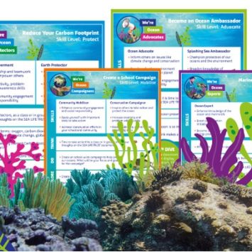 A selection of SEA LIFE educational resources